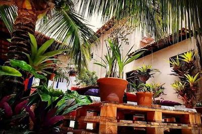 پوسادا ناتال پارادیس