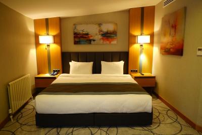 رامادا بورسا نیلوفر