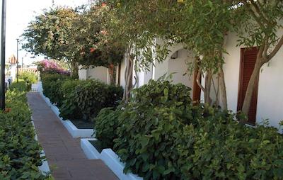 لا کنچا دل مار