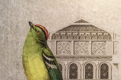 اتالیا ب اند ب