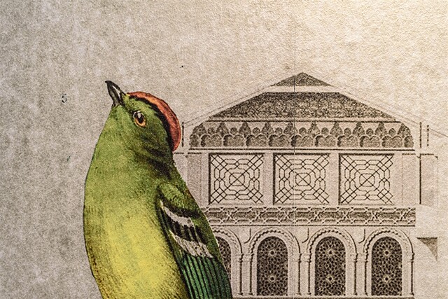 اتالیا ب اند ب
