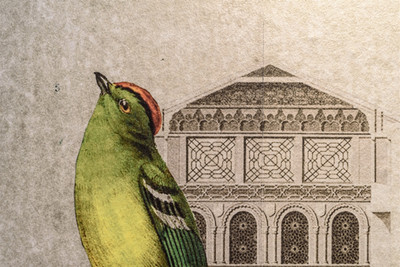 اتالیا ب اند ب