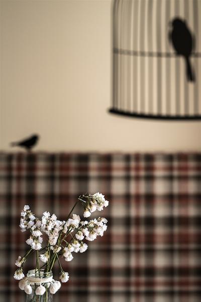 اتالیا ب اند ب