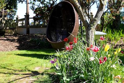 بیچکمبر متر این