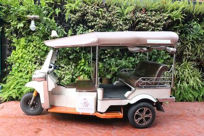 ماوریک راچادا