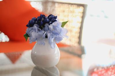 ماوریک راچادا