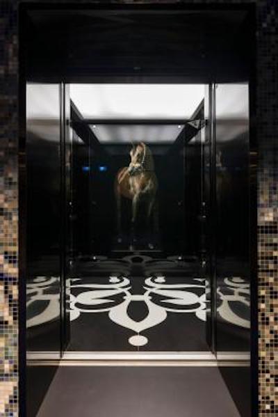 مندرین دوحه