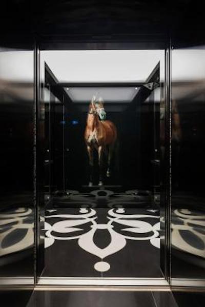 مندرین دوحه