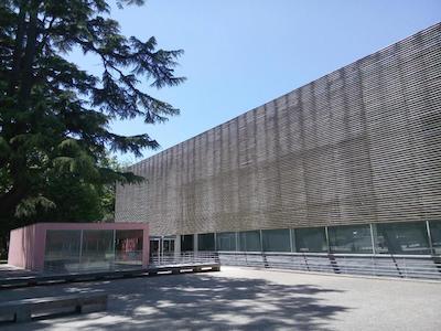 ترل اوانتگارد