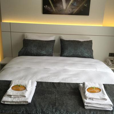 زیتیندالی گوست هوس