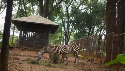 اماریز هتل مامپانگ-جاکارتا