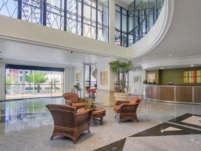 تولیپ این فرتالزا