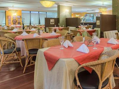 تولیپ این فرتالزا