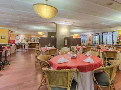 تولیپ این فرتالزا