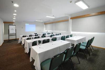 تولیپ این ساو پاولو پاولیستا