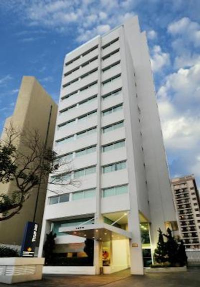 تولیپ این ساو پاولو پاولیستا