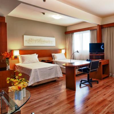 تولیپ این ساو پاولو پاولیستا