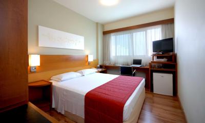 تولیپ این ساو پاولو پاولیستا