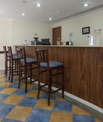 تولیپ این اینتراکتیو جاردینز