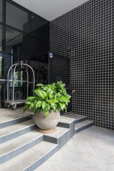 تولیپ این اینتراکتیو جاردینز