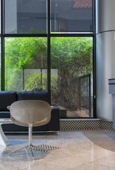 تولیپ این اینتراکتیو جاردینز