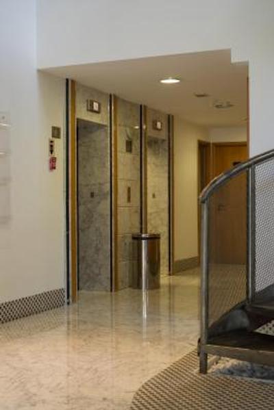 تولیپ این اینتراکتیو جاردینز