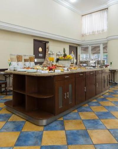 تولیپ این اینتراکتیو جاردینز