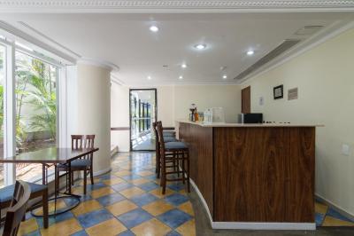 تولیپ این اینتراکتیو جاردینز