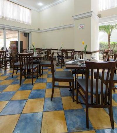 تولیپ این اینتراکتیو جاردینز