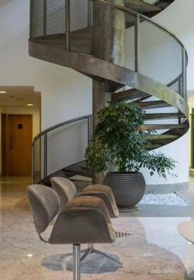 تولیپ این اینتراکتیو جاردینز