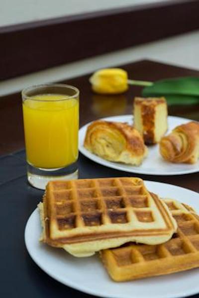 تولیپ این اینتراکتیو جاردینز