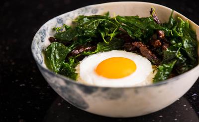 زاز اوربان بانکوک