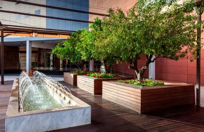 بارسل گرانادا کنگرز