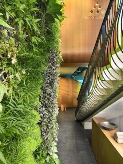 د وستین پاریز-وندم