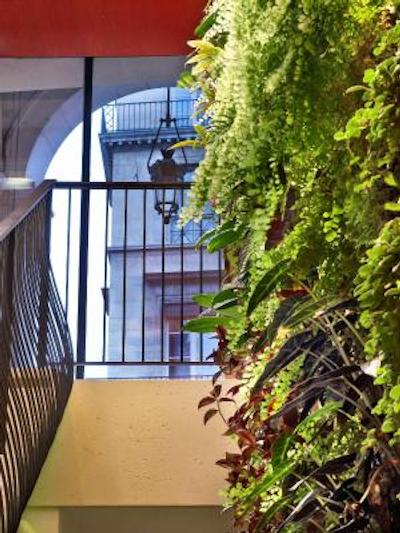 د وستین پاریز-وندم