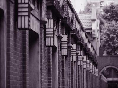 کاپلا شانگهای جیان ی لی