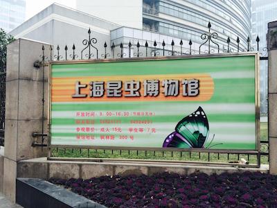 کاپلا شانگهای جیان ی لی