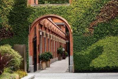 کاپلا شانگهای جیان ی لی