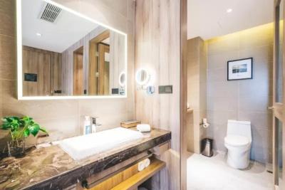 اتور هتل شانگهای پودونگ جانگجیانگ های-تک پارک