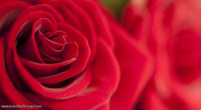 هیلتون شانگهای هنگ کیائو