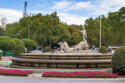 هستال کاراسدو