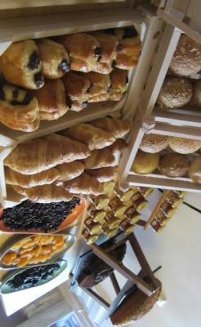 پالادیان هوم