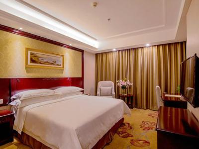 وینا اینترنیشنال هتل شنزهن هوانان سیتی استر