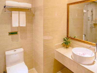 وینا اینترنیشنال هتل شنزهن هوانان سیتی استر