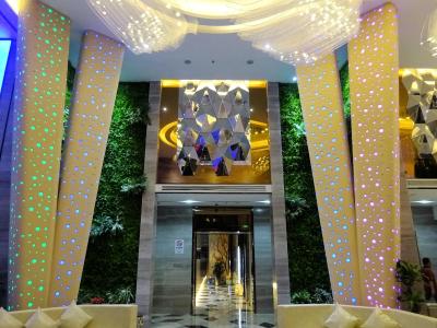 هالیدی ویلا هتل اند رزیدنس شانگهای جیادینگ