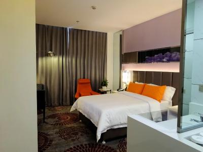 هالیدی ویلا هتل اند رزیدنس شانگهای جیادینگ