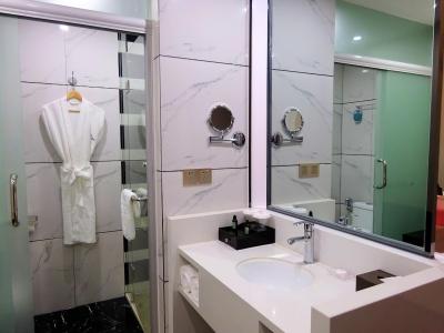 هالیدی ویلا هتل اند رزیدنس شانگهای جیادینگ