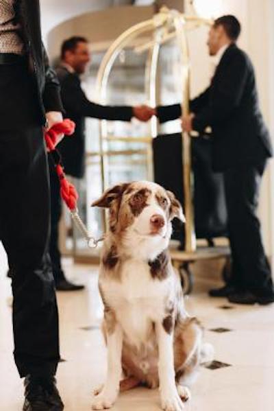 هتل گراند مرکور اسو پاولو ایبیراپورا