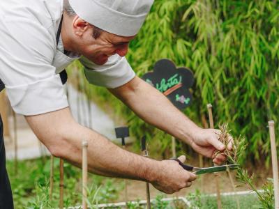 هتل گراند مرکور اسو پاولو ایبیراپورا