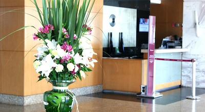 مرکور براسیلیا لیدر هتل